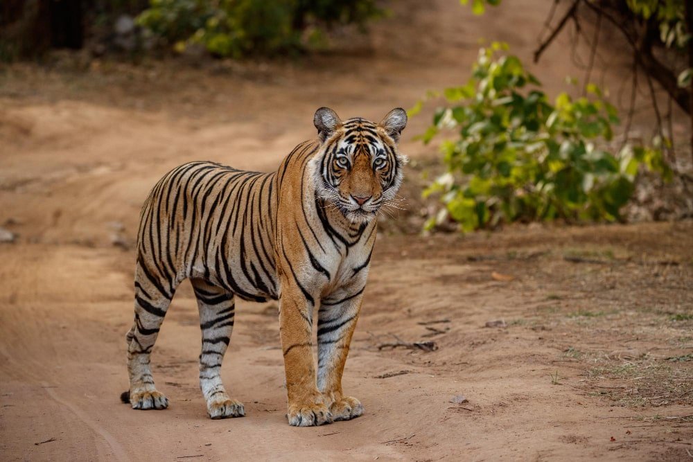 4 Days Agra Mathura Tour
